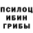 Псилоцибиновые грибы мухоморы Dildora Kurbonova