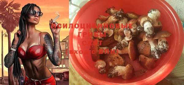 дживик Алзамай