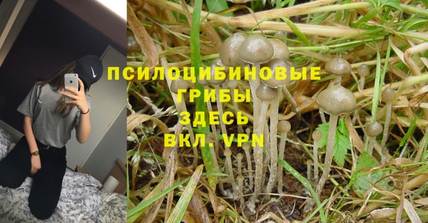 метадон Аркадак