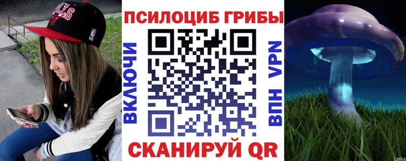 цены   Краснослободск  Галлюциногенные грибы мухоморы 